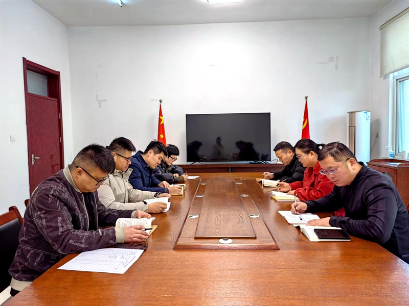 资本公司党支部集体学习.jpg